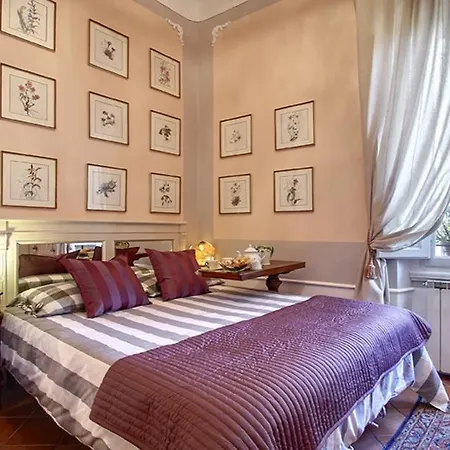 Ccc Cozy Comfy Chic Florence